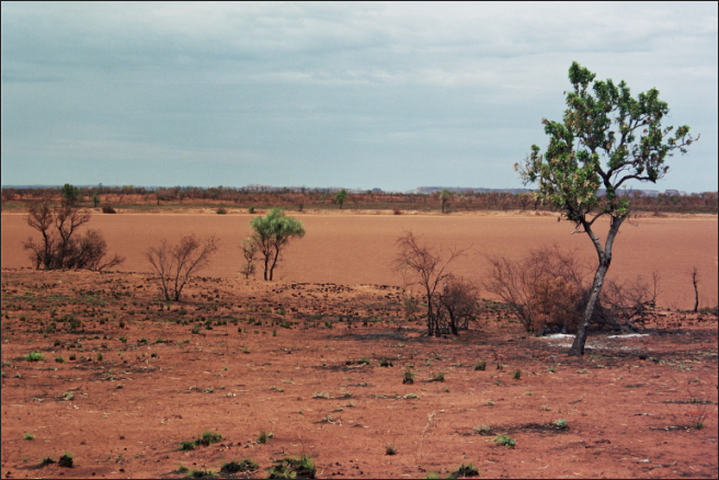 The theme image of Patrick Sullivan's podcast showing a landscape view of red dirt, a dead tree and blue sky