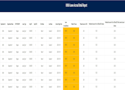 University Leave Accrual Detail Report